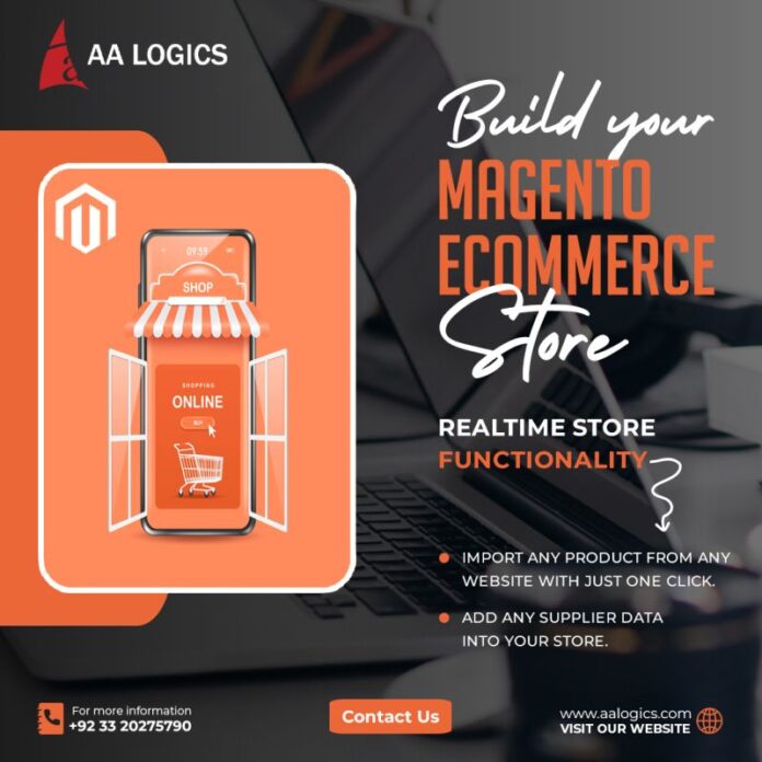 Hire Magento 2 Developer