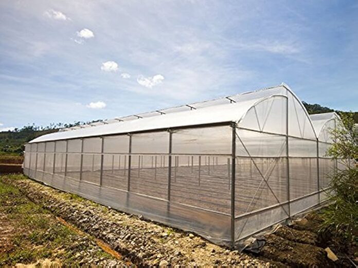 4-year greenhouse cover