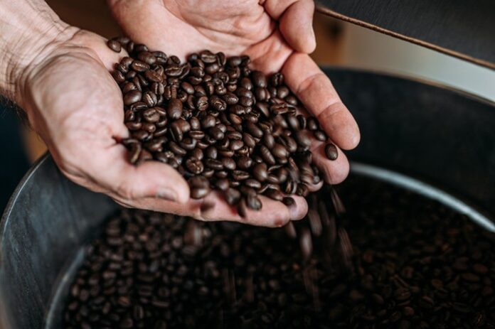 Bajawa Coffee is favorite bean among coffee lovers