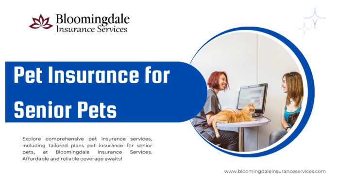 Pet Insurance for Senior Pets