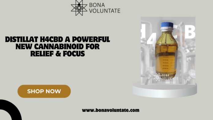 distillat h4cbd