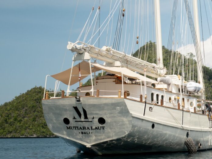 https://fitfunda.com/mangrove-komodo-boat-tour-paddle-through-coastal-ecosystems/