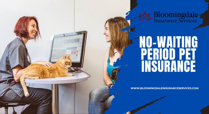 No-Waiting Period Pet Insurance