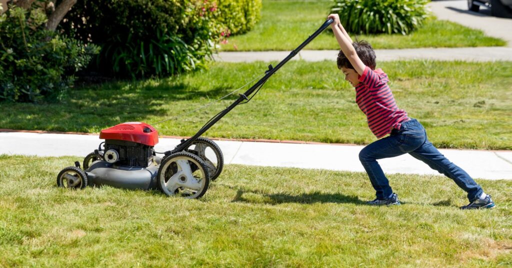 lawn care