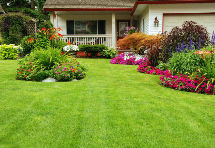 lawn care tips