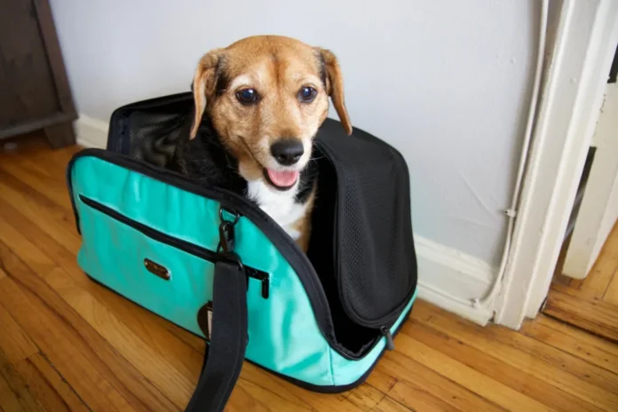 dog carry sling