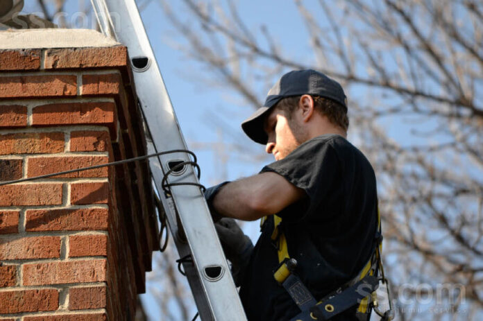 Chimney Animal Removal