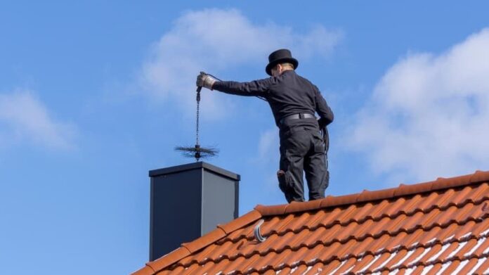 Chimney Animal Removal